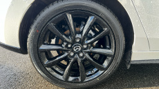 Mazda 3 2.5 e-Skyactiv G MHEV [140] Homura 5dr Petrol Hatchback